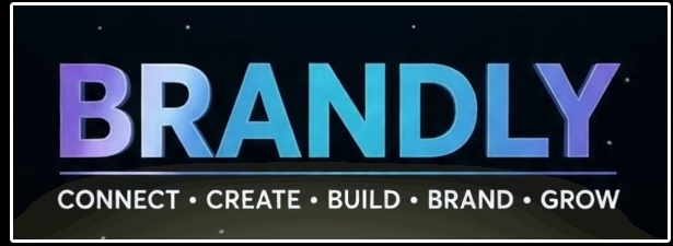 BRANDLY logo from supplied promotional video